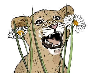 Lion cub